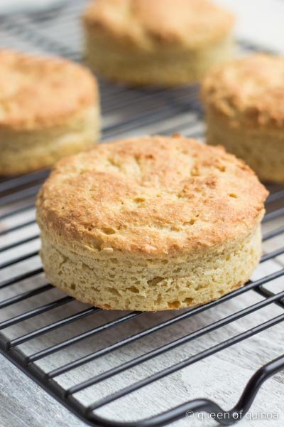 What Is Xanthan Gum Faveglutenfreerecipes Com