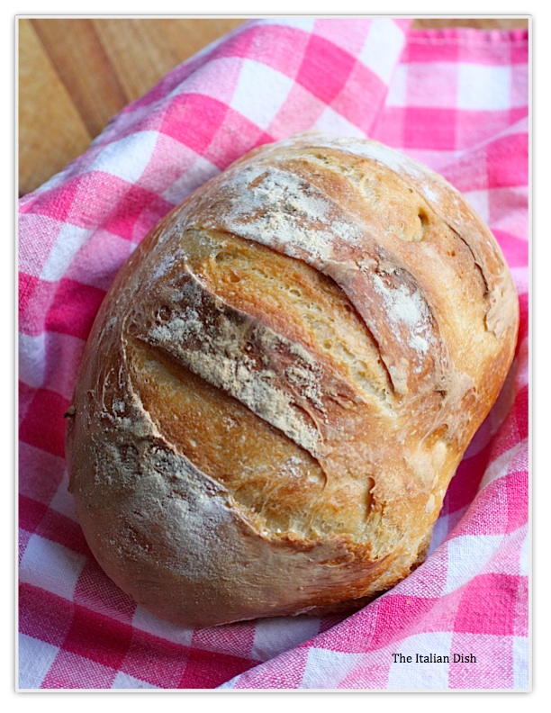 40Cent NoKnead Bread