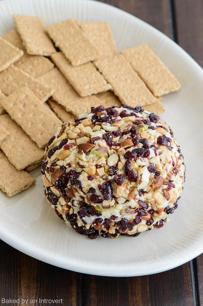 Dessert Cheese Ball with Cranberries and Mixed Nuts