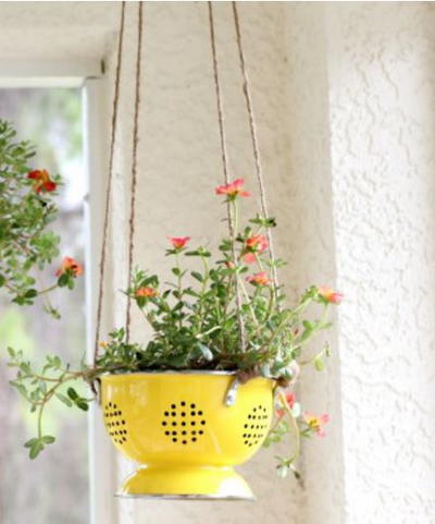 DIY Colander Planter