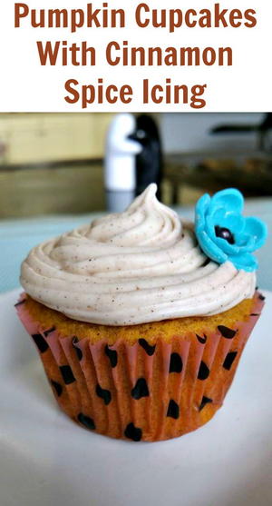 Pumpkin Cupcakes With Cinnamon Spice Icing