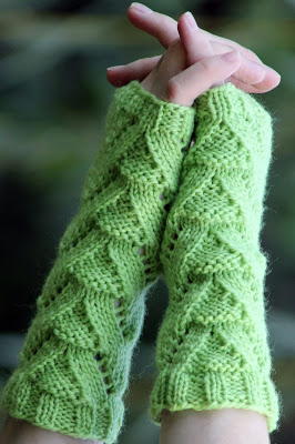 Lizard Lovers Fingerless Gloves