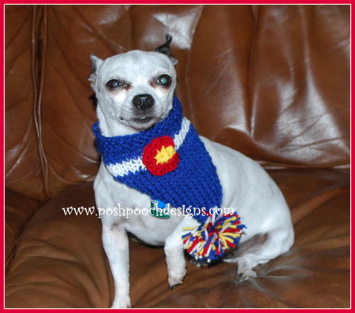 Colorado Flag Dog Bandanna