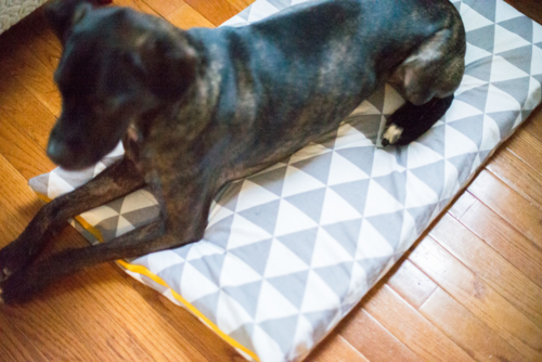 Dog Bed Sewing Pattern | AllFreeSewing.com