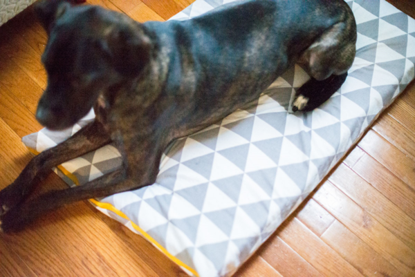 Dog Bed Sewing Pattern