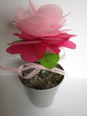 Pretty in Pink Tissue Paper Flowers
