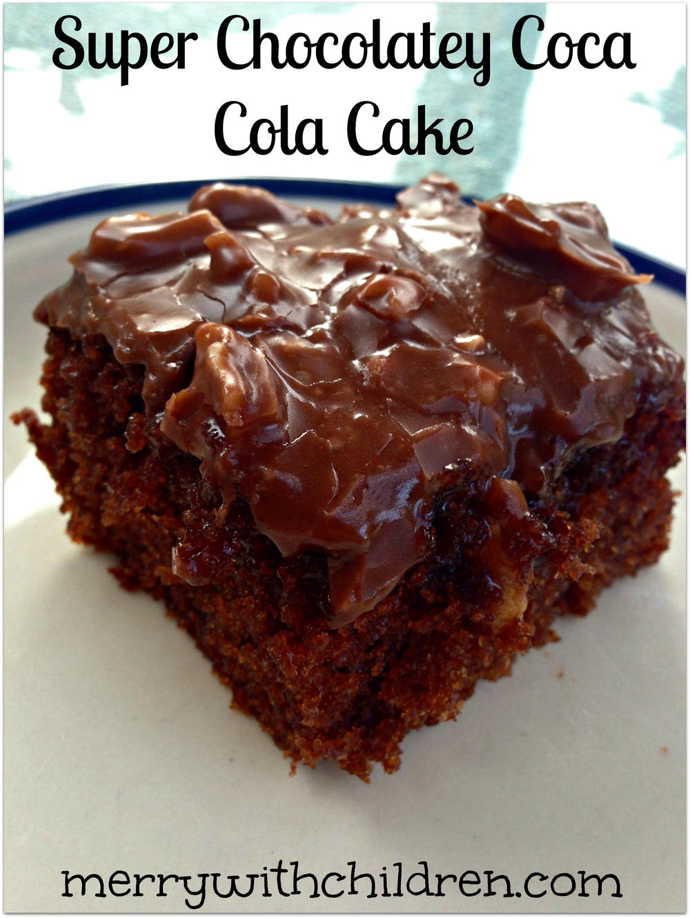Super Chocolatey Coca Cola Cake