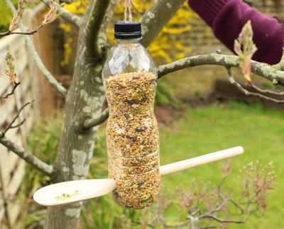 How to Make a Water Bottle Bird Feeder