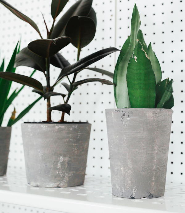 Fabulous Faux Concrete Painted Pots