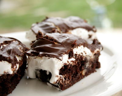 Sinful Snapping Turtle Brownies