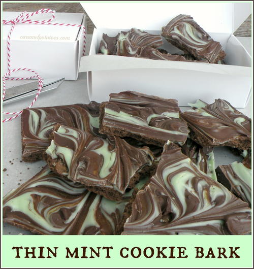 Copycat Thin Mint Cookie Bark