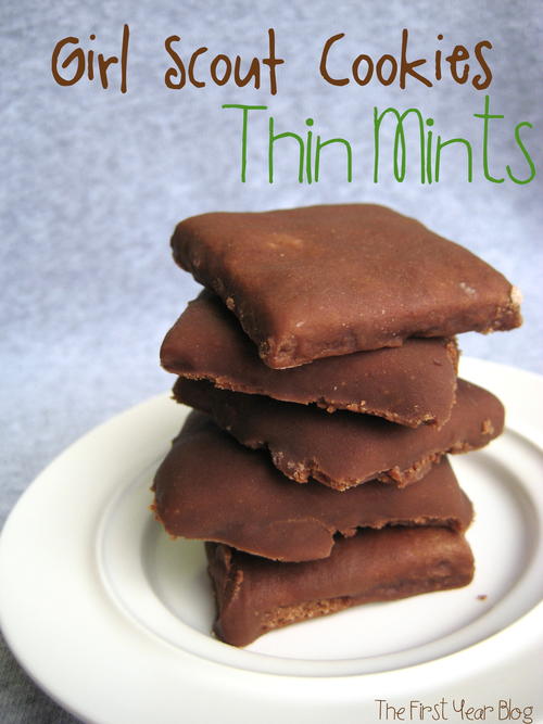 Copycat Thin Mints | FaveGlutenFreeRecipes.com