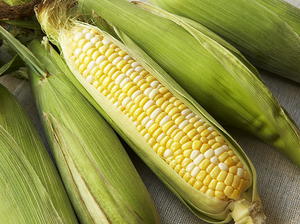 Corn Cob Chowder