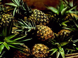 Roasted Pineapple Caribe