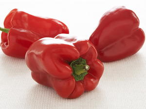 Roasted Pepper Rolls Stuffed with Tuna