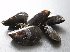 Mussels Vinaigrette