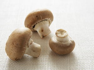 Cremini Mushroom Toasts