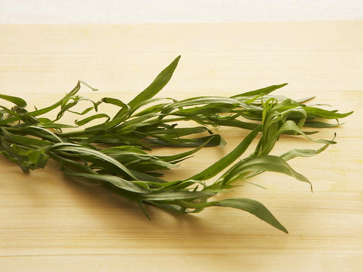 FinesHerbes Omelet Conventional and Classic