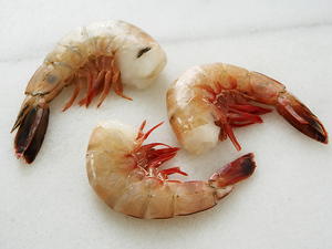 Filet Mignon and Shrimp Fondue