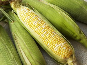 Easiest Corn Chowder