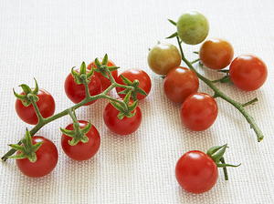  Cherry Tomato Confit