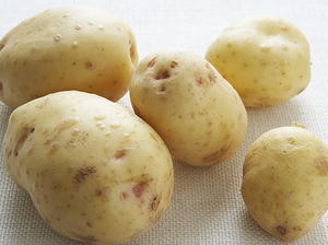 Potato Gratin