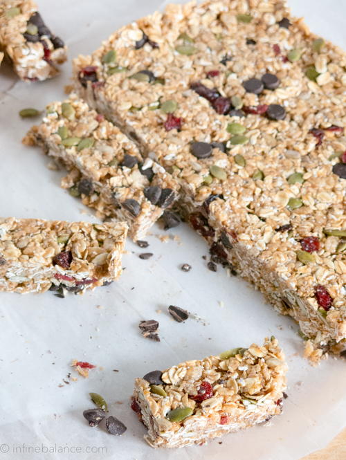 Dark Chocolate Cranberry Snack Bars