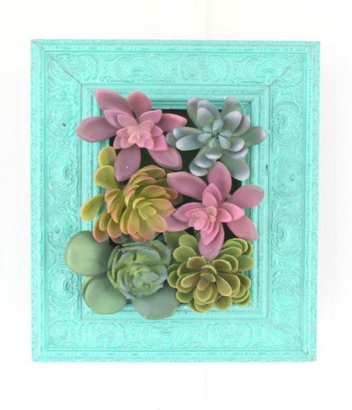 Cute Succulents Wall Hanging