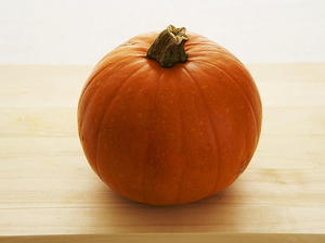  Pumpkin Gelato