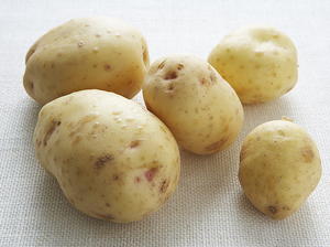 Parmesan Potato Gnocchi