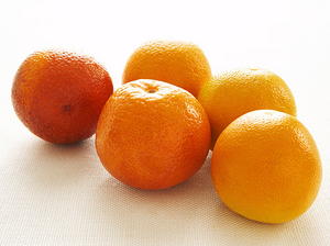 Orange Mousse (A Frozen Dessert)