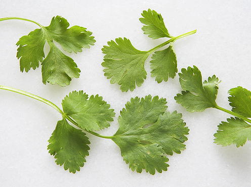 Quick Cilantro Chicken-image