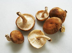 Asian Mushroom Broth