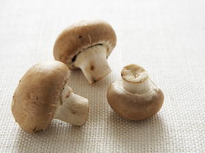 Mushrooms in a Coriander-Scented White Sauce