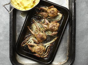 Roast Quail With Fennel