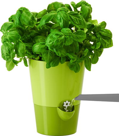 Frieling Smart Planter Review