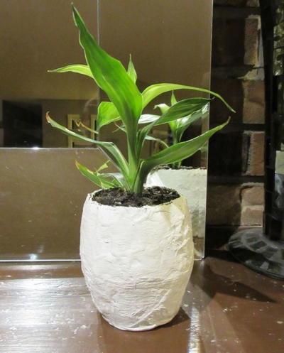 Papier Mache Pot for Plants