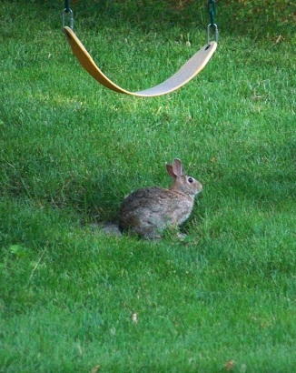 Spring Nature Scavenger Hunt