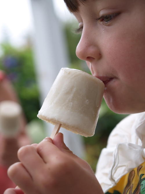 Yogurt Cup Popsicles