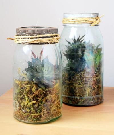 Vintage Mason Jar Terrarium