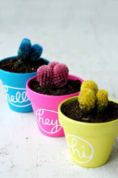 Colorful Cactus DIY Painting Project