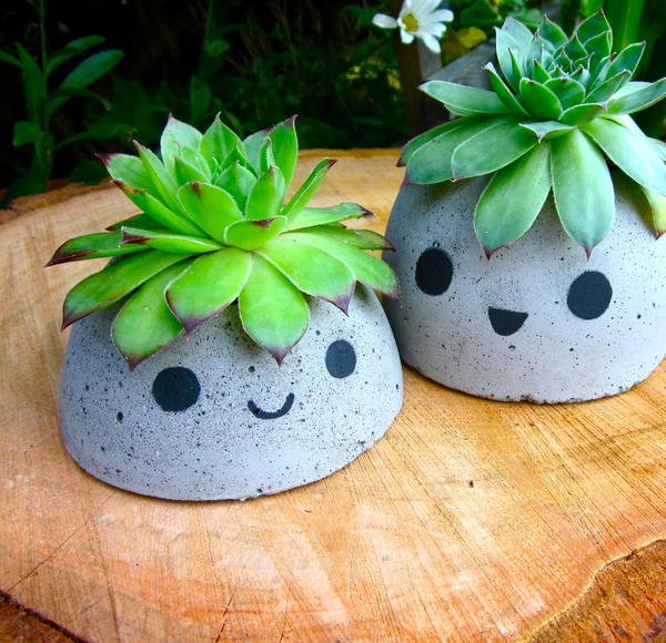 Cute DIY Concrete Planters
