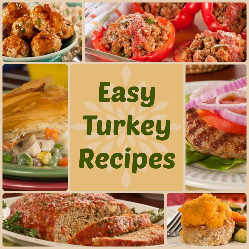 Quick \u0026 Healthy Dinner Recipes: 18 Easy Turkey Recipes  EverydayDiabeticRecipes.com