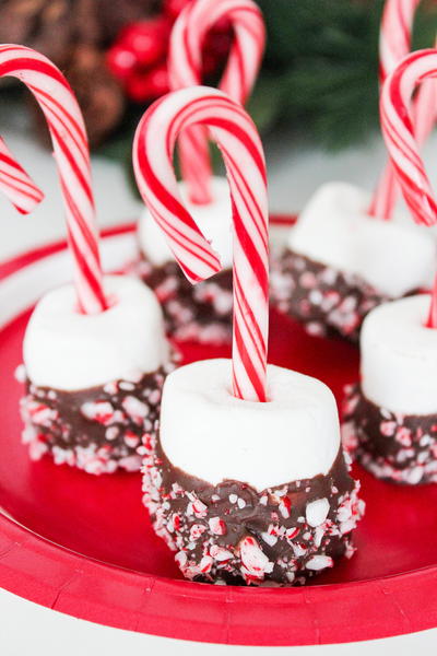 Peppermint Chocolate Covered Marshmallows