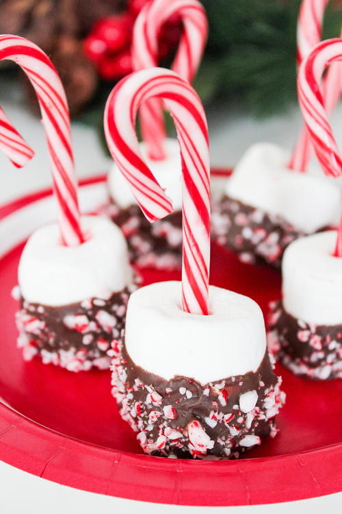 Peppermint Chocolate Covered Marshmallows | TheBestDessertRecipes.com