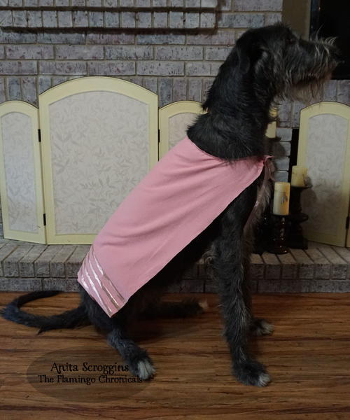 DIY Dog Cape