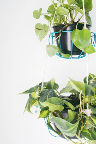 Bright DIY Hanging Planters