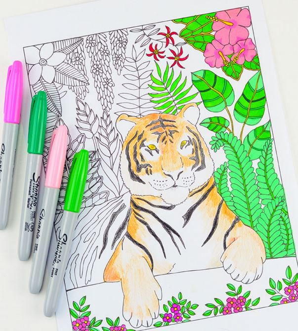 Eye of the Tiger Coloring Page