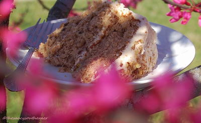 Traditional Hummingbird Cake