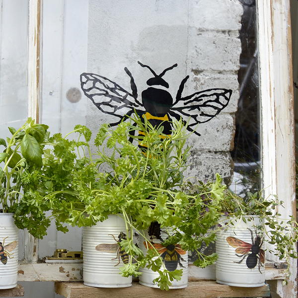 Herb Planter Tin Can Crafts